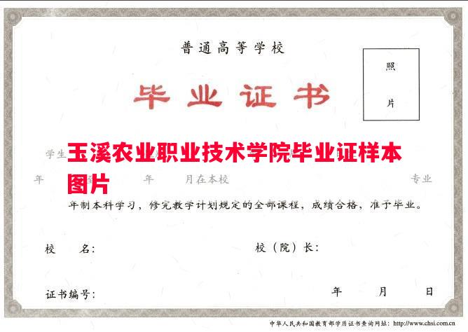 玉溪农业职业技术学院毕业证样本图片