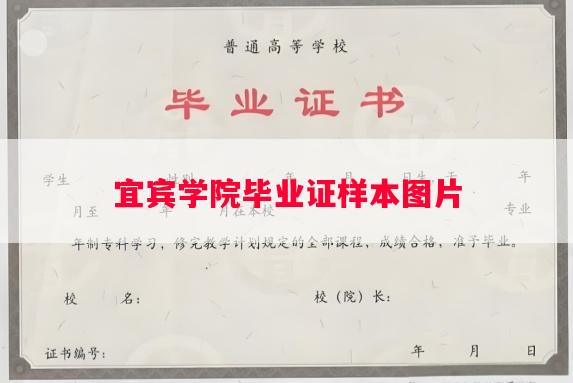 宜宾学院毕业证样本图片