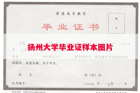 扬州大学毕业证样本图片