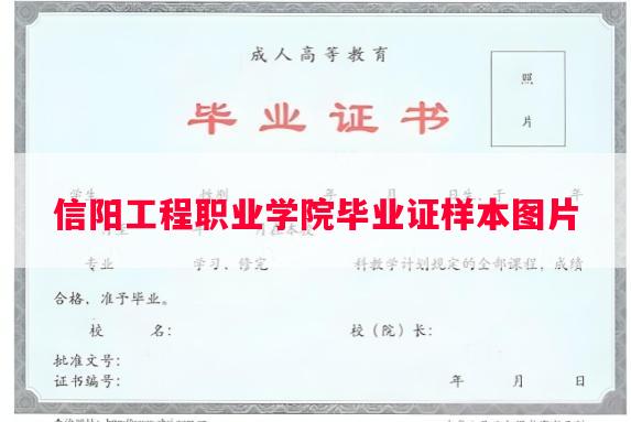 信阳工程职业学院毕业证样本图片