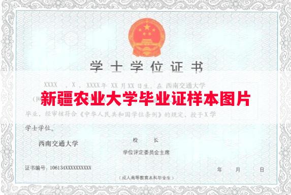 新疆农业大学毕业证样本图片