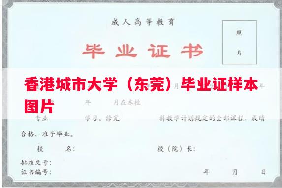 香港城市大学（东莞）毕业证样本图片
