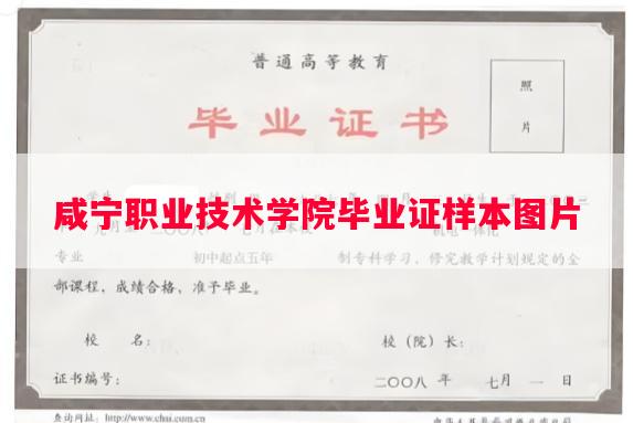 咸宁职业技术学院毕业证样本图片