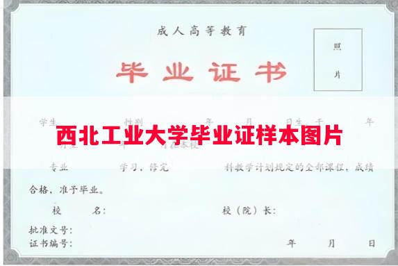 西北工业大学毕业证样本图片