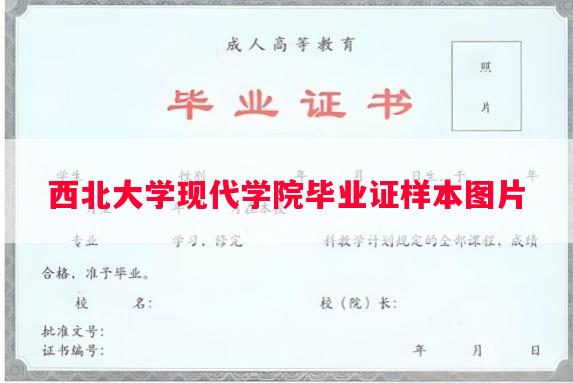 西北大学现代学院毕业证样本图片