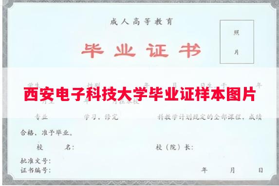 西安电子科技大学毕业证样本图片