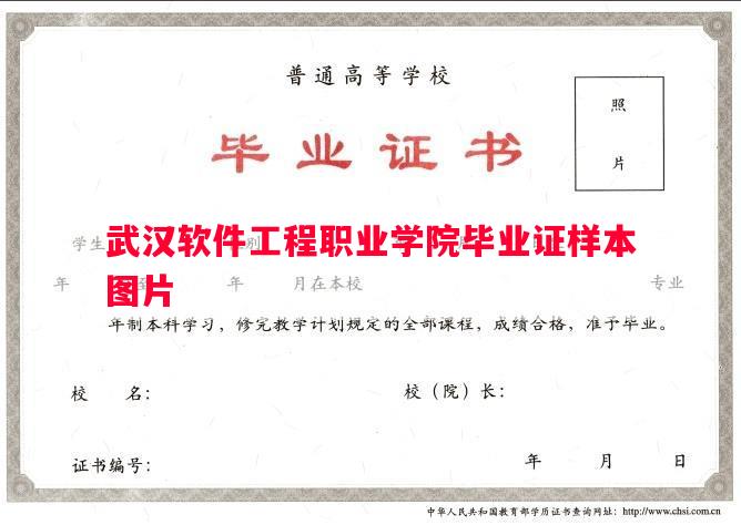 武汉软件工程职业学院毕业证样本图片