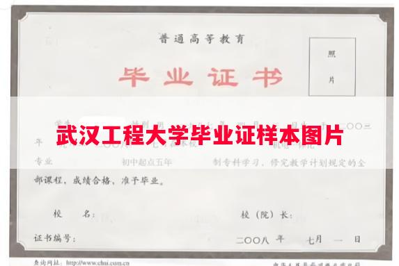 武汉工程大学毕业证样本图片