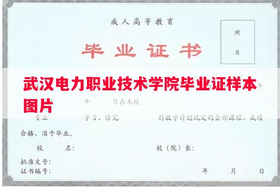 武汉电力职业技术学院毕业证样本图片