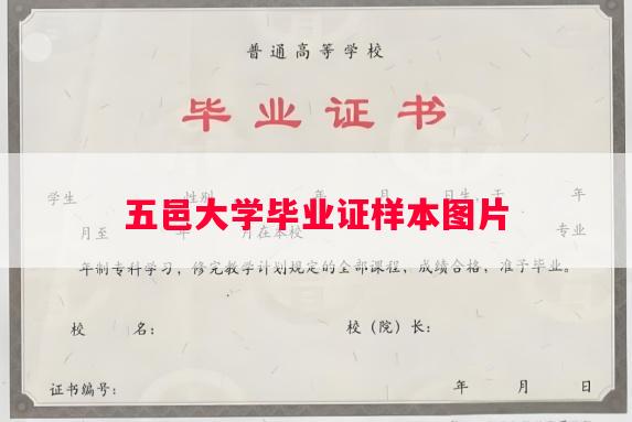 五邑大学毕业证样本图片
