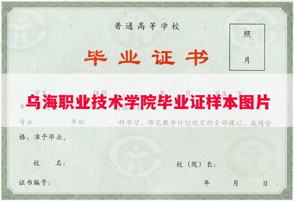 乌海职业技术学院毕业证样本图片