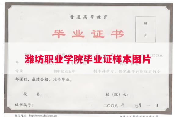 潍坊职业学院毕业证样本图片