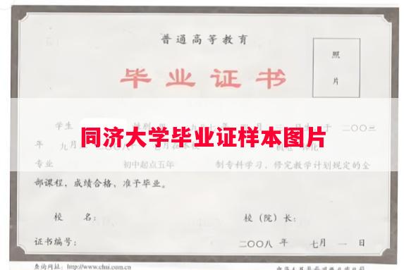 同济大学毕业证样本图片