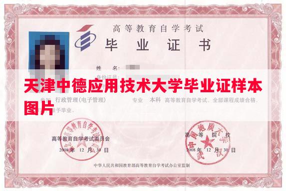 天津中德应用技术大学毕业证样本图片