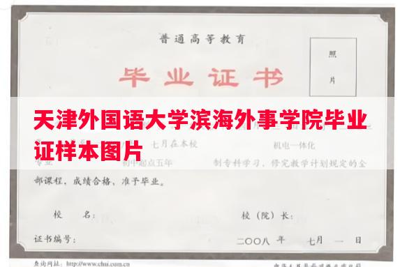 天津外国语大学滨海外事学院毕业证样本图片