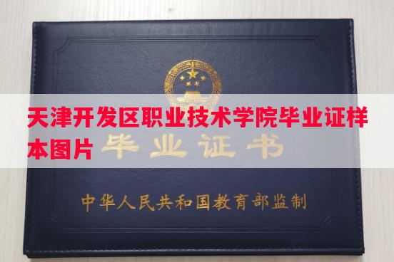 天津开发区职业技术学院毕业证样本图片