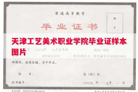 天津工艺美术职业学院毕业证样本图片