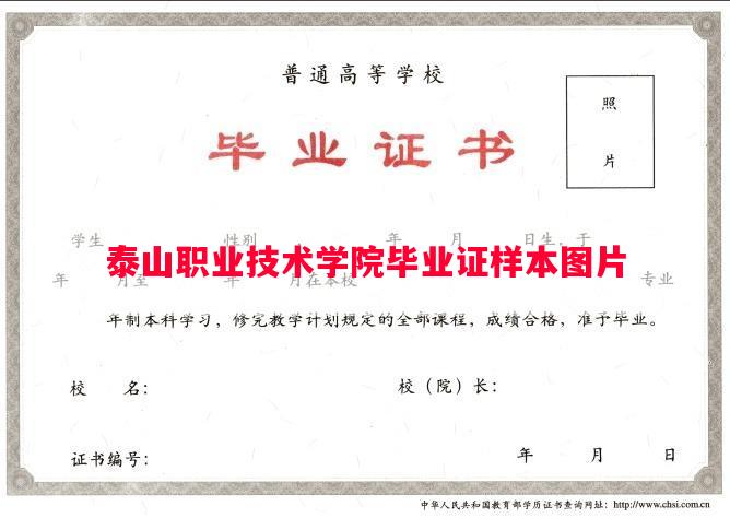 泰山职业技术学院毕业证样本图片