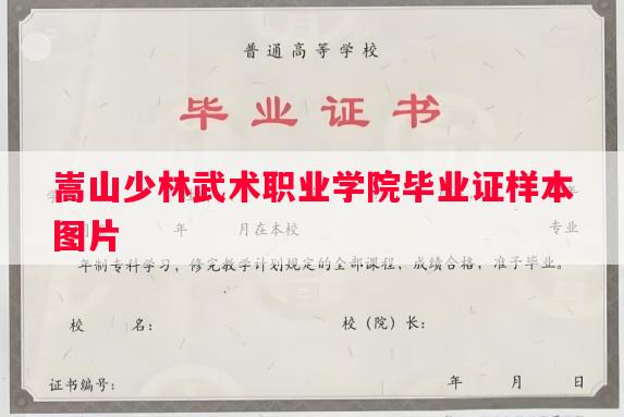 嵩山少林武术职业学院毕业证样本图片