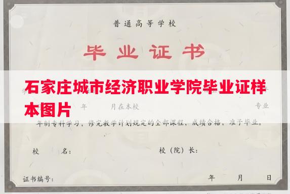 石家庄城市经济职业学院毕业证样本图片