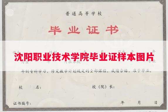 沈阳职业技术学院毕业证样本图片