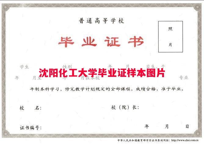 沈阳化工大学毕业证样本图片