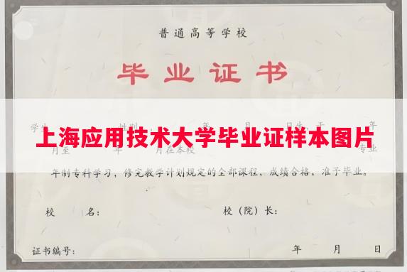 上海应用技术大学毕业证样本图片