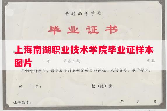 上海南湖职业技术学院毕业证样本图片
