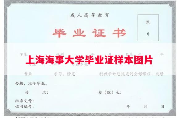 上海海事大学毕业证样本图片