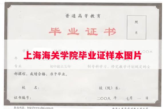 上海海关学院毕业证样本图片