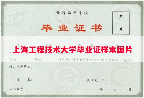 上海工程技术大学毕业证样本图片