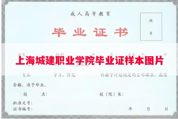 上海城建职业学院毕业证样本图片