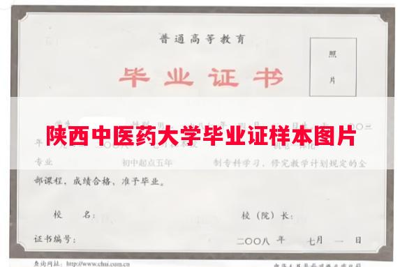 陕西中医药大学毕业证样本图片