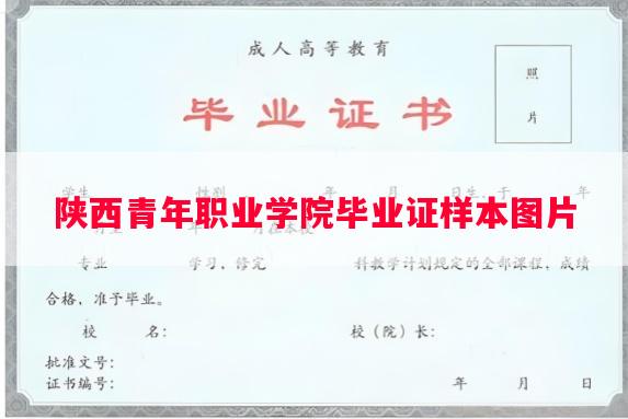 陕西青年职业学院毕业证样本图片