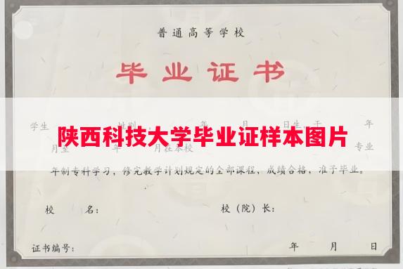 陕西科技大学毕业证样本图片