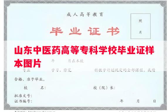 山东中医药高等专科学校毕业证样本图片