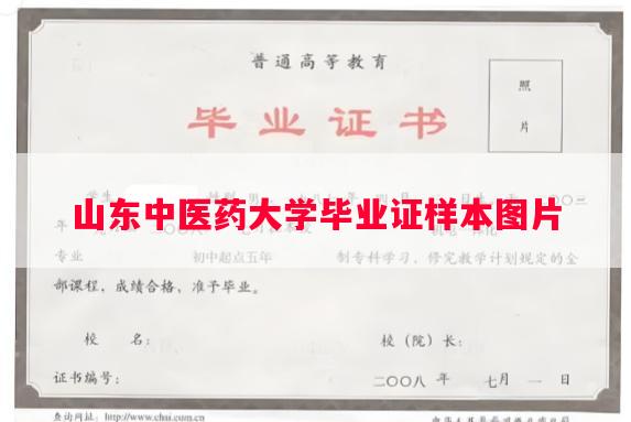 山东中医药大学毕业证样本图片