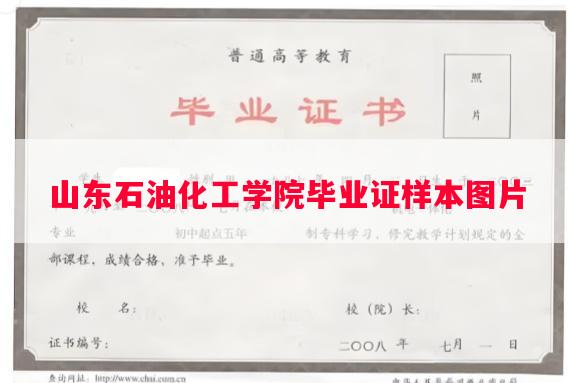山东石油化工学院毕业证样本图片