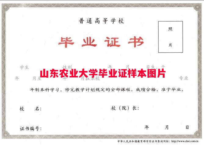 山东农业大学毕业证样本图片