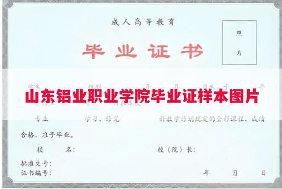 山东铝业职业学院毕业证样本图片