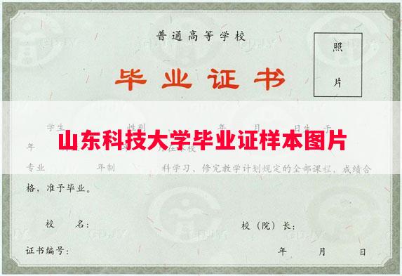 山东科技大学毕业证样本图片