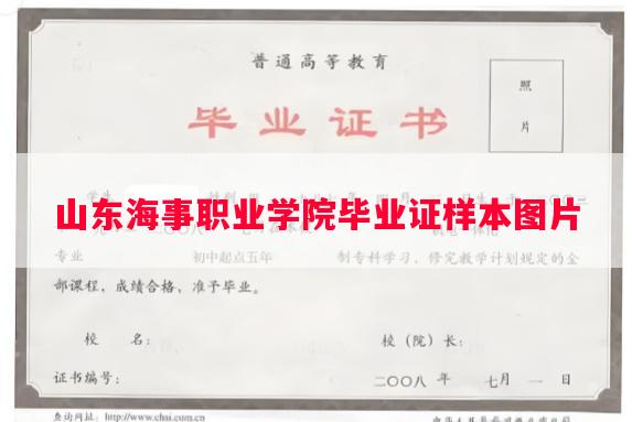 山东海事职业学院毕业证样本图片