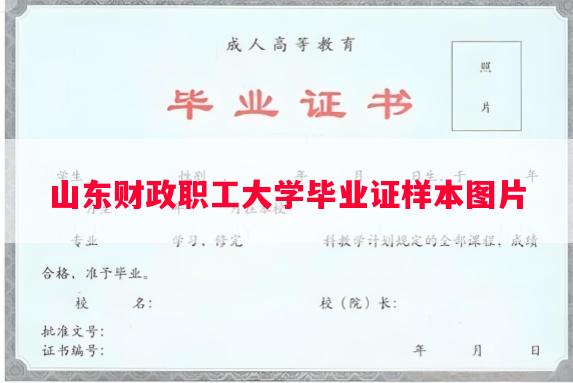 山东财政职工大学毕业证样本图片
