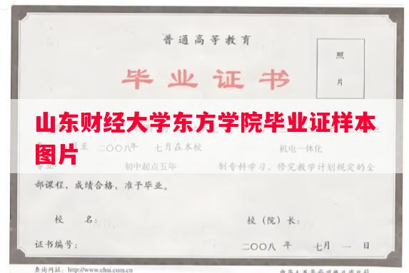 山东财经大学东方学院毕业证样本图片