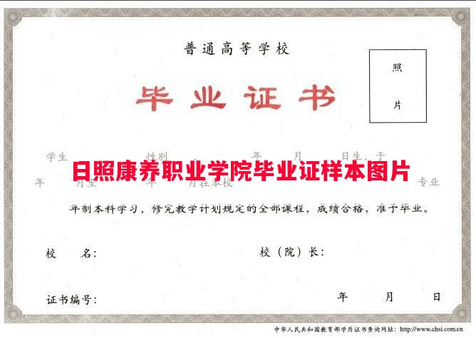 日照康养职业学院毕业证样本图片