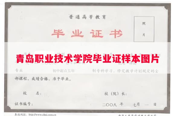 青岛职业技术学院毕业证样本图片