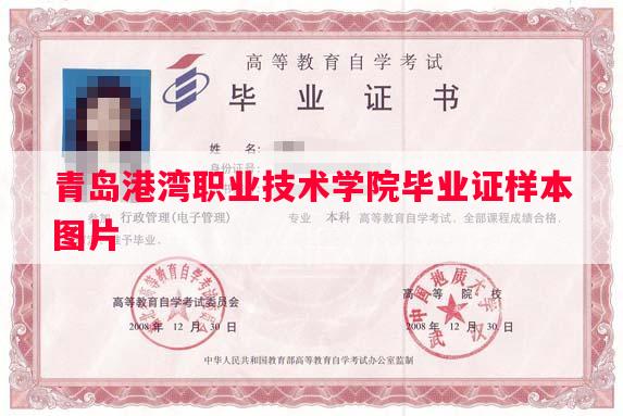 青岛港湾职业技术学院毕业证样本图片