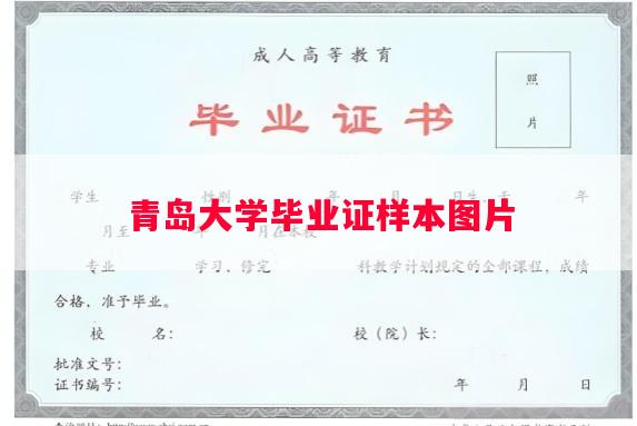 青岛大学毕业证样本图片