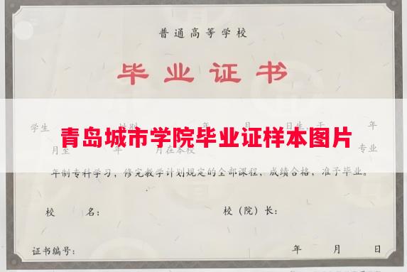 青岛城市学院毕业证样本图片