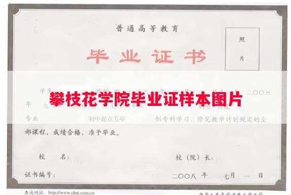 攀枝花学院毕业证样本图片